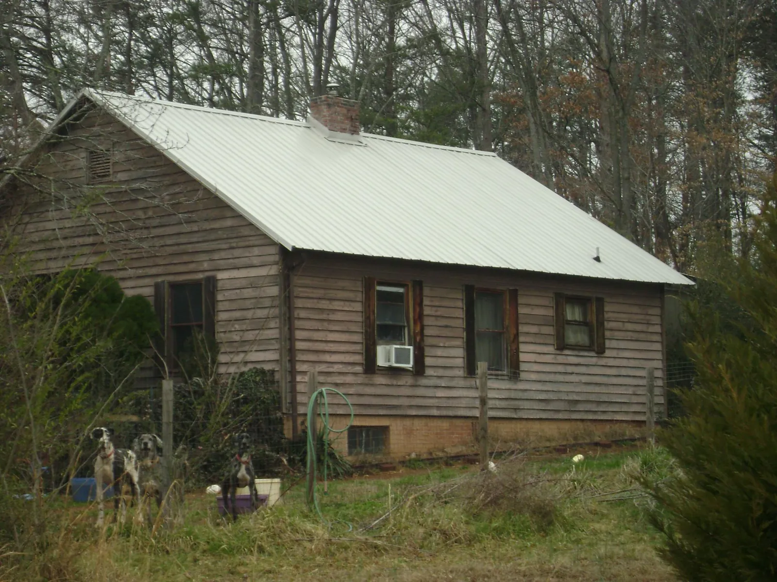 White metal roof on an old wood sided farmhouse, from a Asphalt Shingle Roof Repair job in Goreville